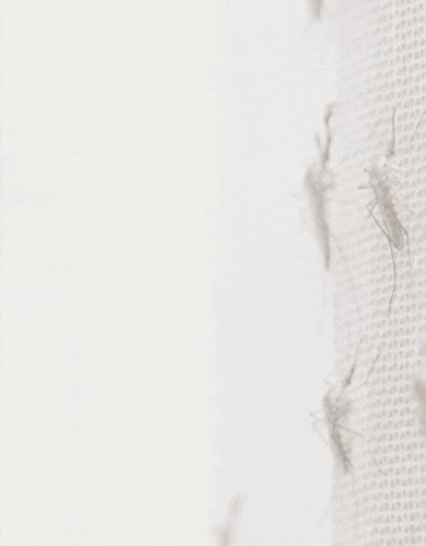 Mosquito Mesh Doors Manufacturers in
                                    Hyderabad